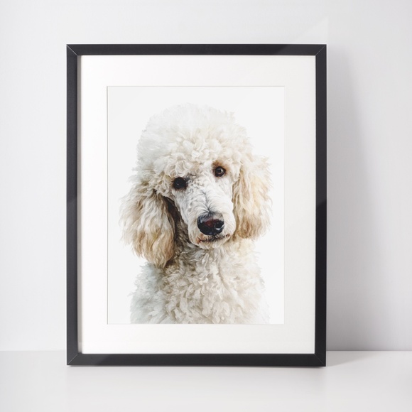 Watercolor Standard White Poodle Wall Art Print Unframed - Elegant Canine Poster - Picture 3 of 7